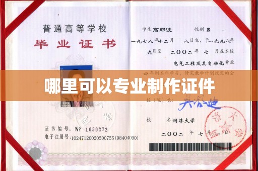 陈巴尔虎旗哪里可以专业制作证件