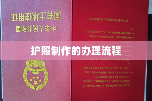 陈巴尔虎旗护照制作的办理流程