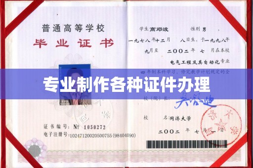 陈巴尔虎旗专业制作各种证件办理