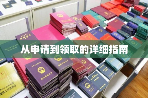 陈巴尔虎旗从申请到领取的详细指南