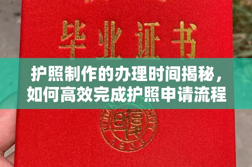 陈巴尔虎旗护照制作的办理时间揭秘，如何高效完成护照申请流程