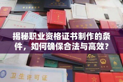 陈巴尔虎旗揭秘职业资格证书制作的条件，如何确保合法与高效？