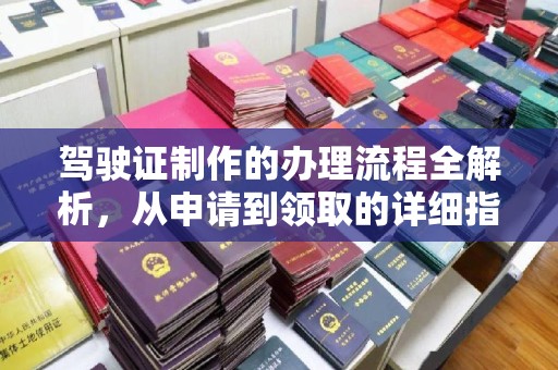 陈巴尔虎旗驾驶证制作的办理流程全解析，从申请到领取的详细指南