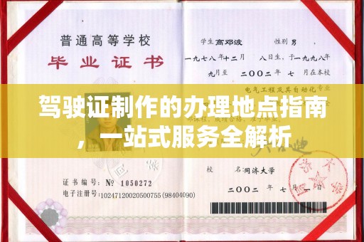 陈巴尔虎旗驾驶证制作的办理地点指南，一站式服务全解析