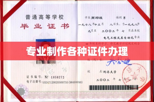 陈巴尔虎旗专业制作各种证件办理