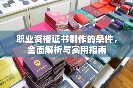 陈巴尔虎旗职业资格证书制作的条件，全面解析与实用指南