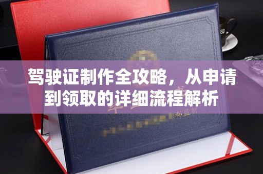 陈巴尔虎旗驾驶证制作全攻略，从申请到领取的详细流程解析
